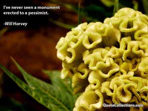 will_harvey_quotes Quotes 3